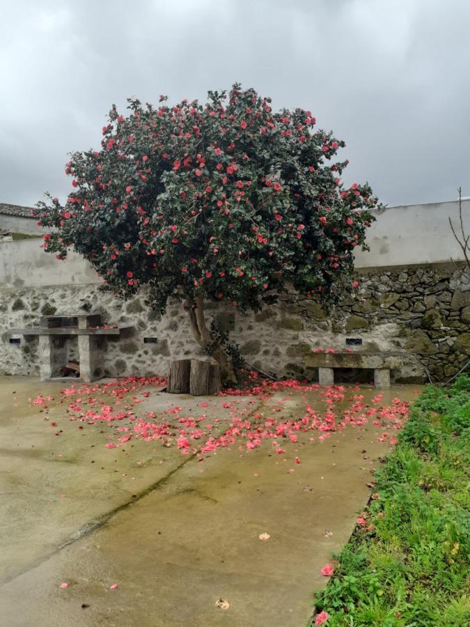 Basaltic Guest House Achadinha 外观 照片